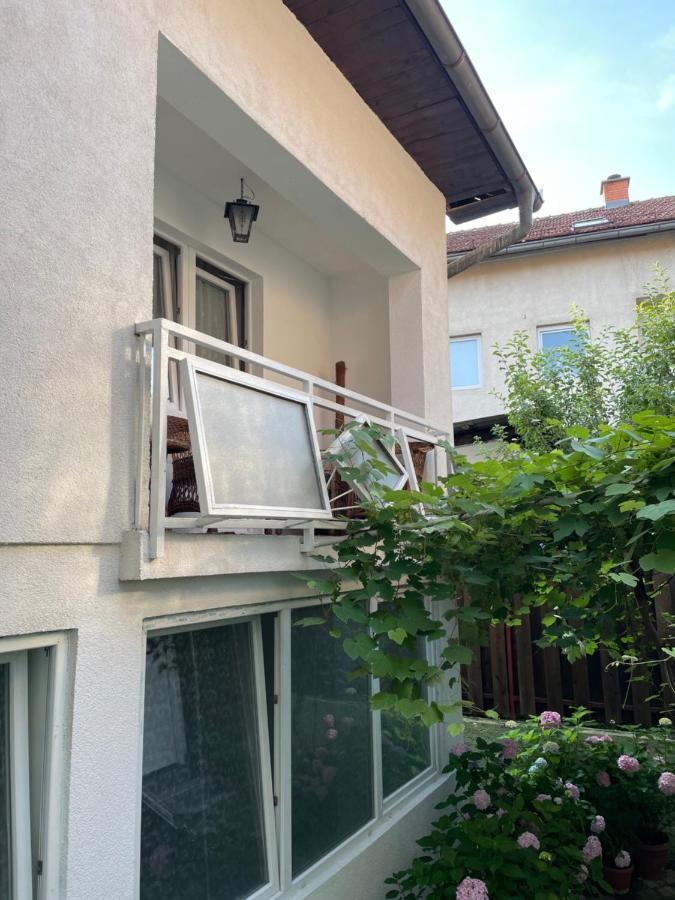 Grape Apartment