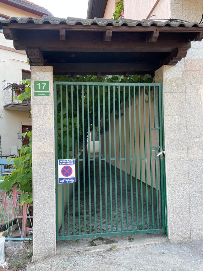 Grape * Sarajevo